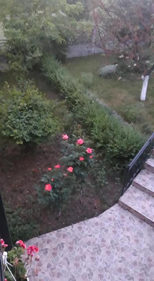 Casa Liana Hotel Орадеа Екстериор снимка